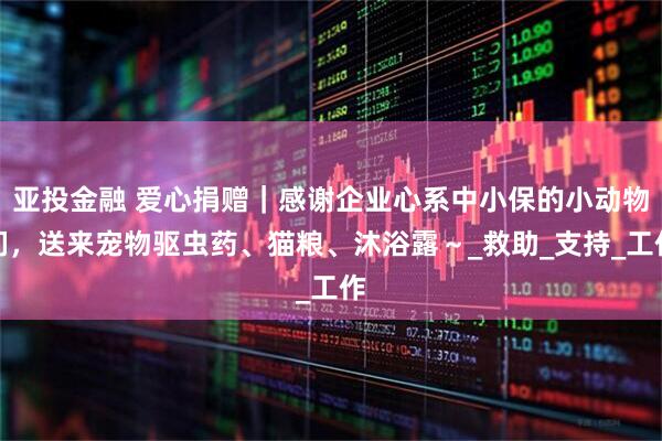 亚投金融 爱心捐赠｜感谢企业心系中小保的小动物们，送来宠物驱虫药、猫粮、沐浴露～_救助_支持_工作