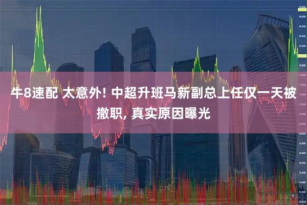 牛8速配 太意外! 中超升班马新副总上任仅一天被撤职, 真实原因曝光