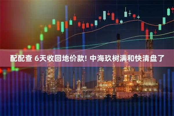 配配查 6天收回地价款! 中海玖树满和快清盘了